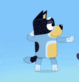bandit-heeler