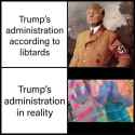 726282562_thumb.jpg