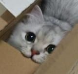 1630505898865