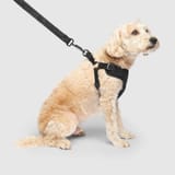 EasyOnStepInHarness_Black_Enhanced_PDP_1_520x.progressive
