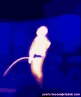 thermal-scope-fart