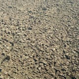 CairoUrbanHellscape