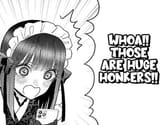 huge honkers