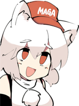 Polish_20250619_114650689
