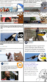 naturebrehs attacking globohomo as nature is right wing as smug pepes