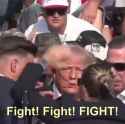 trump fight fight fight assination_thumb.jpg