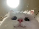 896375846