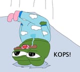 1501274033611 kops