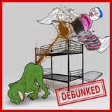 DeBoonkd