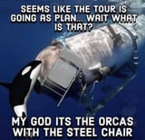 orcas titan sub chair