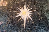 Bethlehem_Star