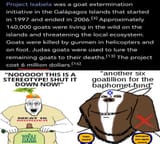 Six_Goatillion