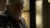leotardo