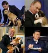 chinks eat dogs