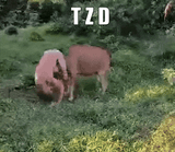1750365914984886