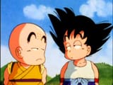 goku krillin