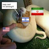 1750356245040677