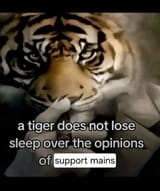 if-a-support-speaks-v0-joqzopjerave1