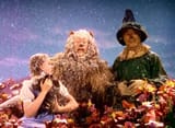 wizard-of-oz-dorothy-asbestos-snow