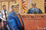 TrumpCourt