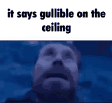 gullible-ceiling