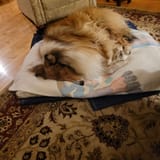 IMG_20230425_225100