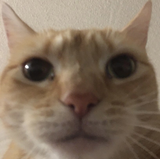 1627162670196