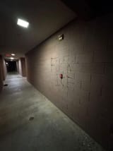 wtf