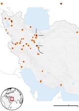 Iran_Airstrikes_17_Jun-mobile_300