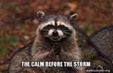 the-calm-before-the-storm
