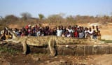 Nile-crocodile-1