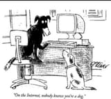 dog internet