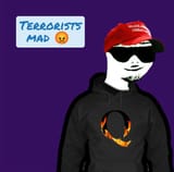 Terrorists-Mad