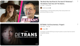 Screenshot 2025-06-19 at 19-42-16 detrans - YouTube