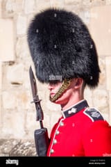 palaceguard