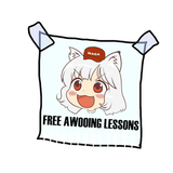 awoo lessons2