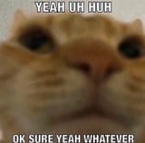 1689283160599478