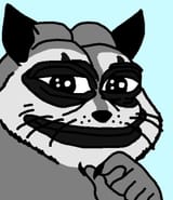 smug raccoon