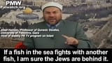 if a fish in the sea