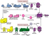 Technical-Routes-to-a-Nuclear-Capability
