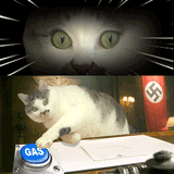drop-the-gas-cat