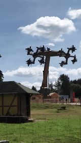 holocoaster