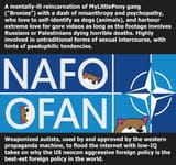 NAFO in a nutshell