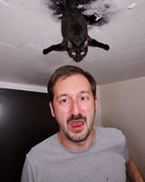 286810.5_1aevilcielingcat