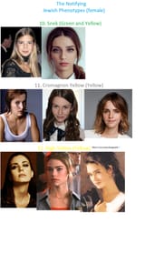 The Notifying Phenotypes 4