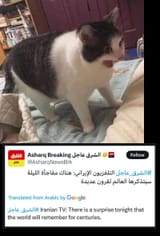 big surprise