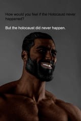 holohoax