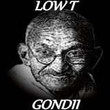 LowTGondii