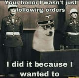 SS Doge