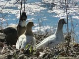 IMG_20250210_135554942_HDR